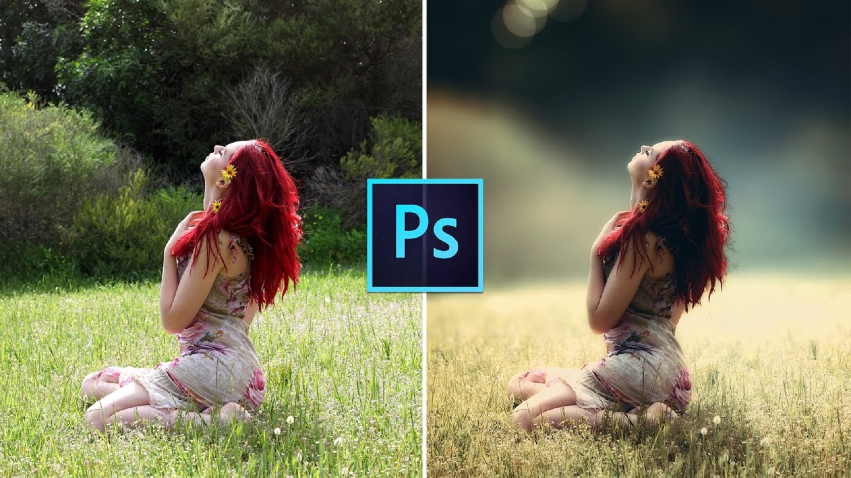 Adobe Photoshop Express Mod Premium Apk