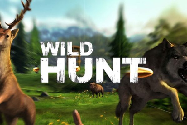 Games Wild Hunt Hunting Games 3D MOD